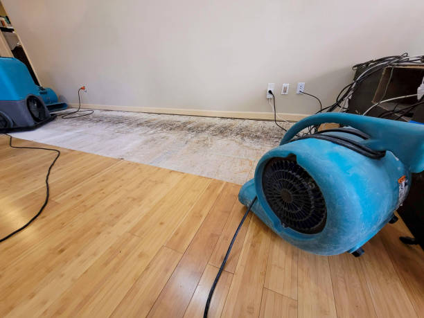 Professional Basement Flood Cleanup technician working in Denver, PA